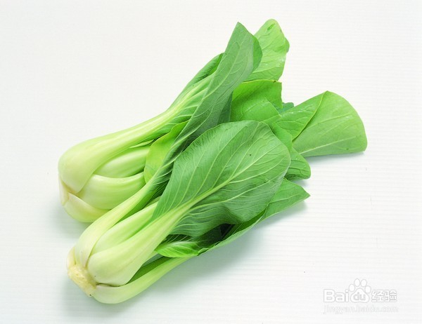 孩子不爱吃蔬菜怎么办呢？