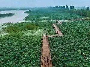 山师大的同学国庆去哪玩?#校园周边游玩攻略#