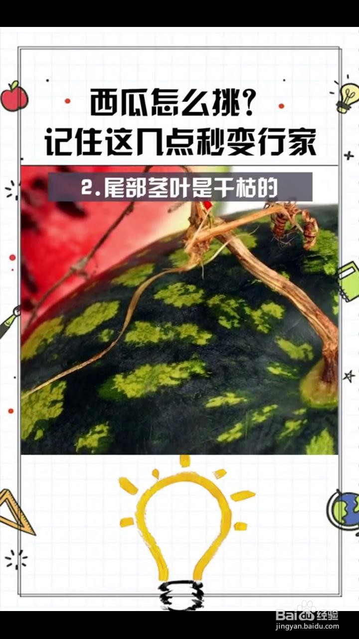 如何挑选优质的西瓜?