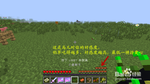 Minecraft 我的世界 如何骑马 驯马 百度经验