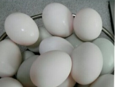 盐鸭蛋的几种做法