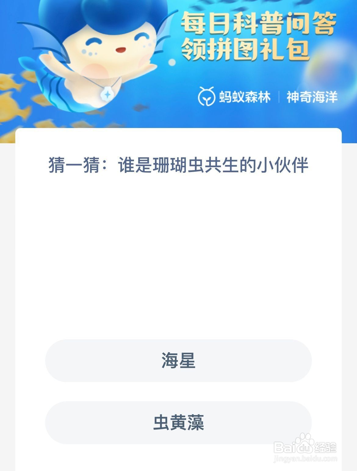 猜一猜：谁是珊瑚虫共生的小伙伴神奇海洋