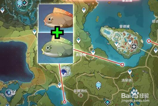 原神金赤假龙刷新时间