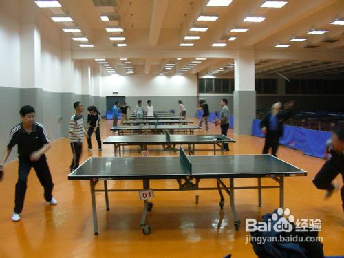 5个运动让你周末两天瘦不停