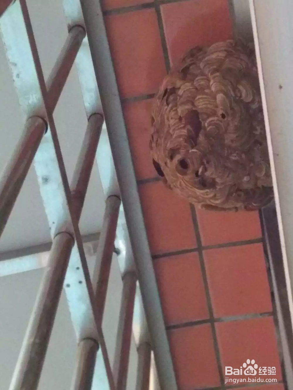 如何处理蜂窝