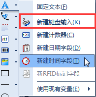 NiceLabel中如何创建键盘输入变量