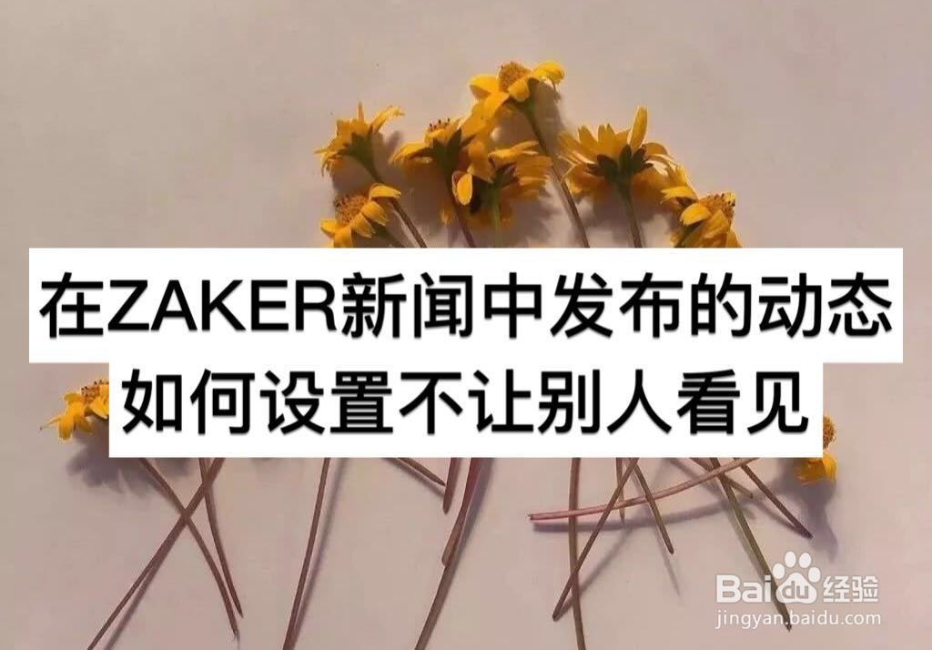 在ZAKER新闻中发布的动态如何设置不让别人看见