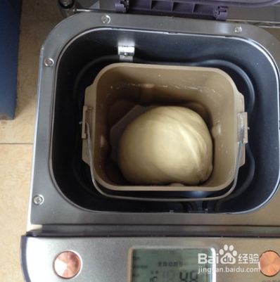 黄油可可早餐包