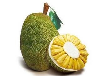 菠萝蜜和榴莲的区别？