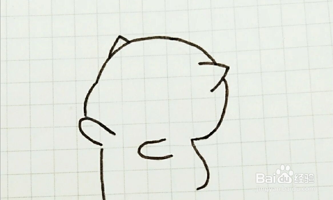 蜜桃猫简笔画教程