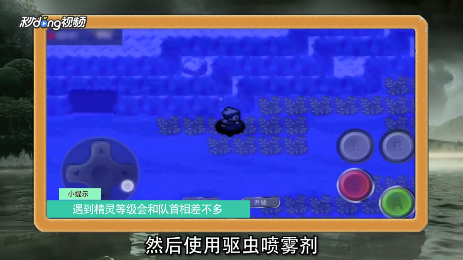 怎么抓口袋妖怪漆黑的魅影古空棘鱼?