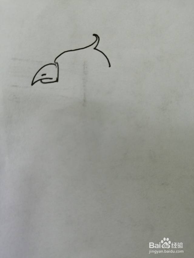 简笔画小鹦鹉怎么画（简笔画小鹦鹉可爱又简单）[图]