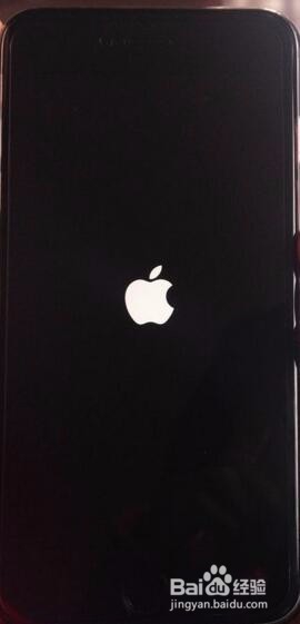 iPhone 7 开箱晒机