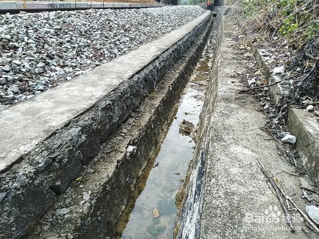 工程施工进场的防水卷材应检验哪些项目