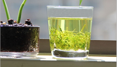 降血糖方法怎样最有效！