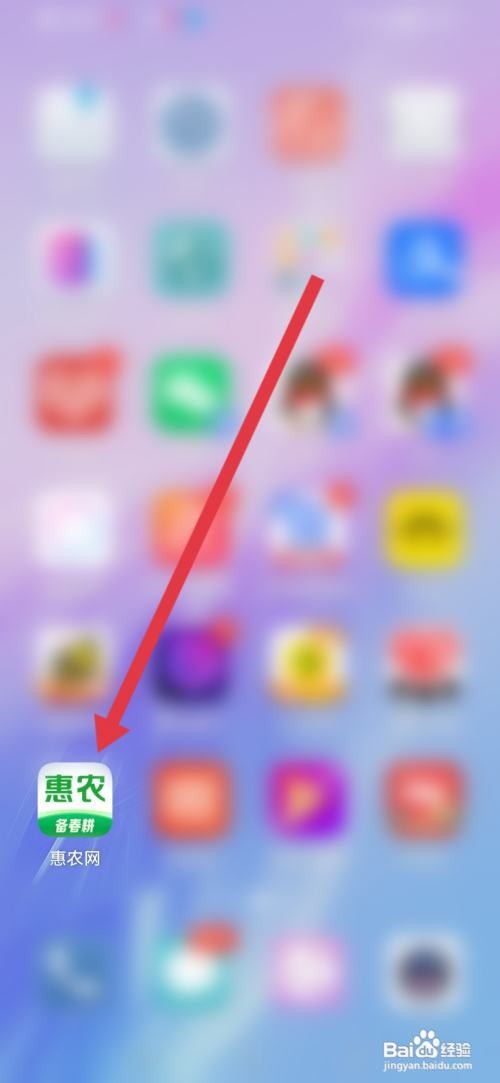 惠农网，实人认证在哪里操作