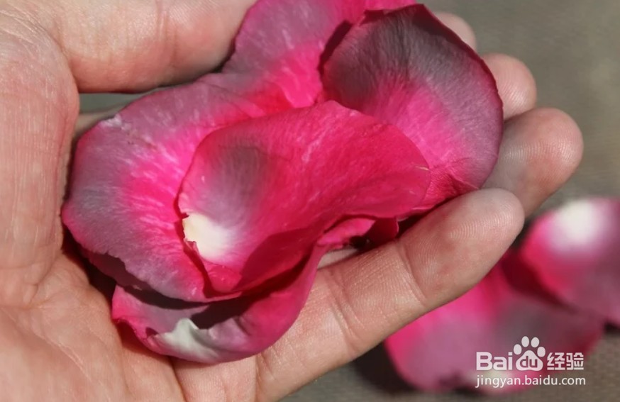 如何制作干玫瑰花瓣