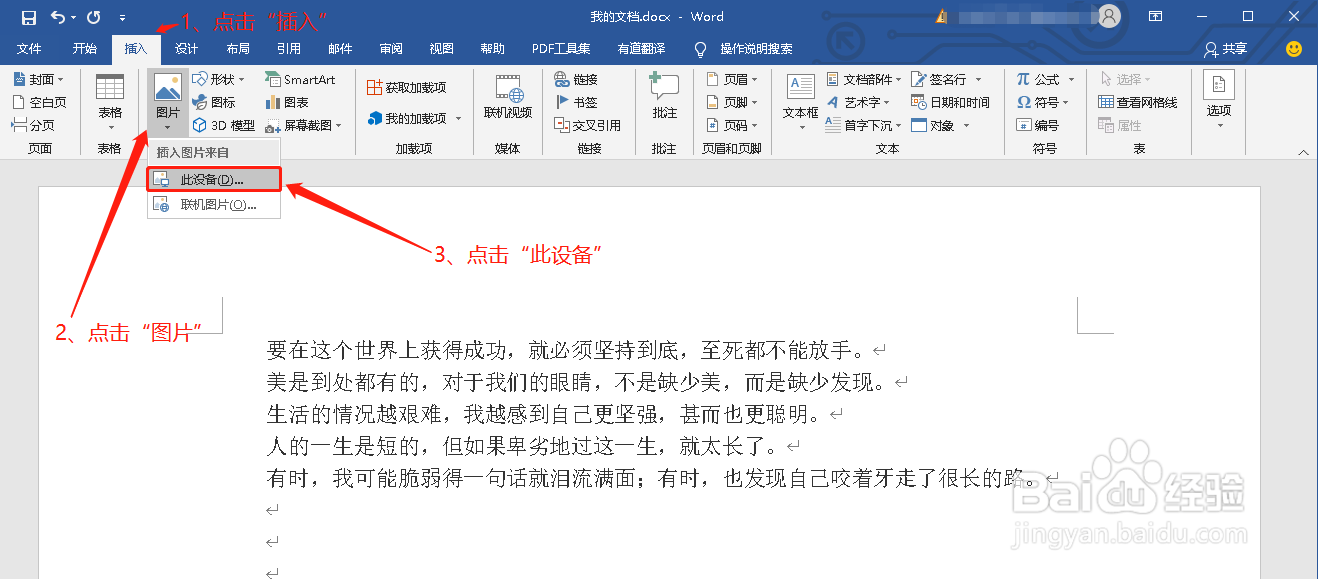 Word中图片不显示或显示不全怎么办?