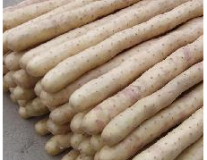 河北麻山药小白嘴白山药的选购方法