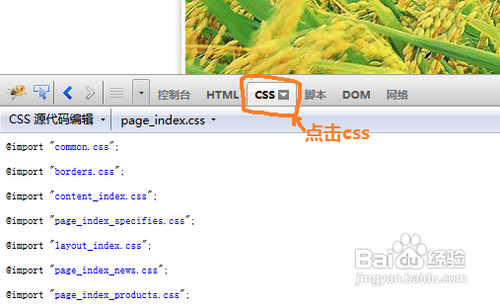 怎样下载网站中的多个css文件
