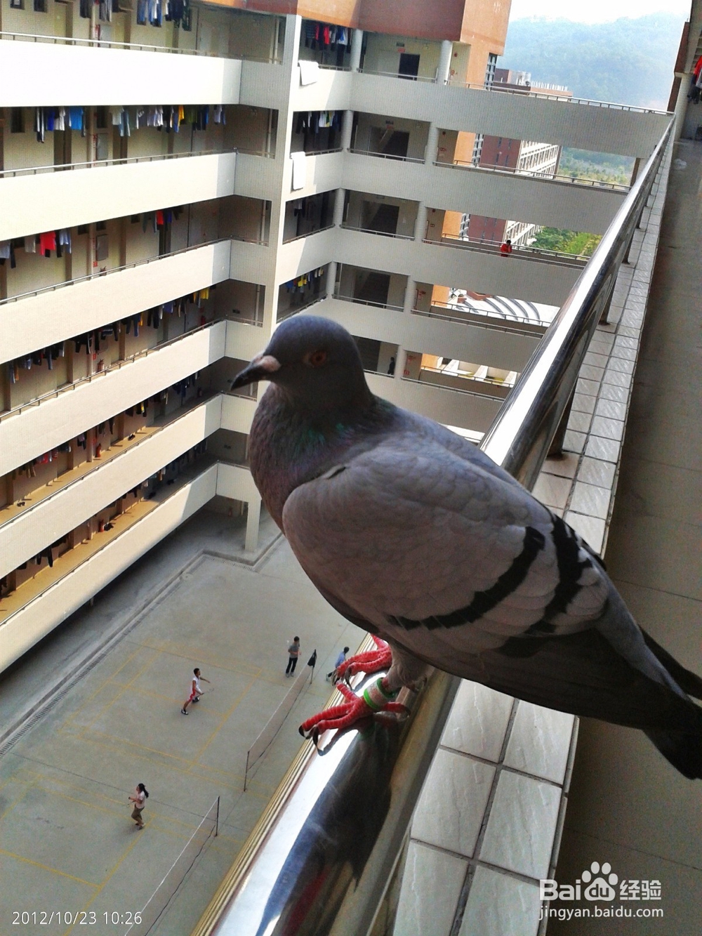 广东机电职业技术学院北校区指南介绍
