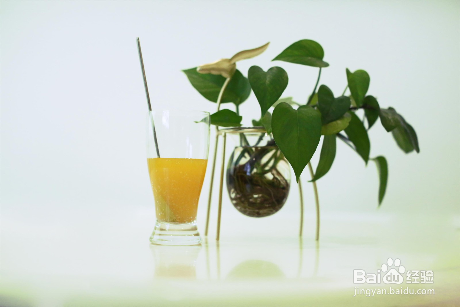 Fit Solution三罐王饮用说明