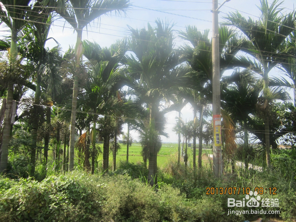 带你穷游海南的美景,县城的风情