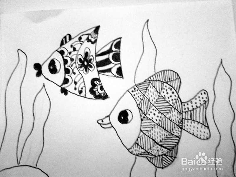 黑白线描画《美丽的鱼儿》的作画步骤