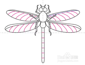 如何绘制蜻蜓