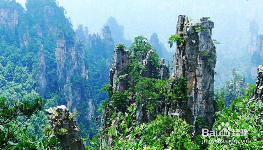 张家界如何旅游