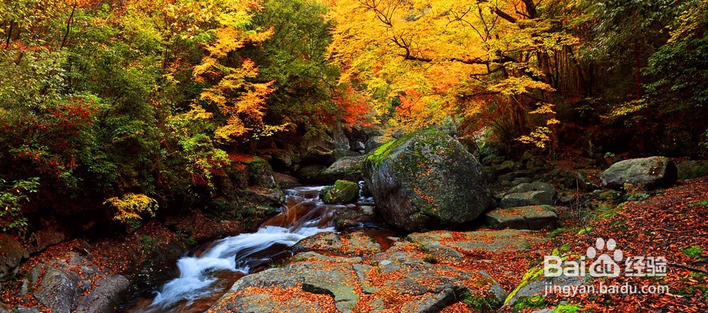 赏秋之旅——南江精品三日游