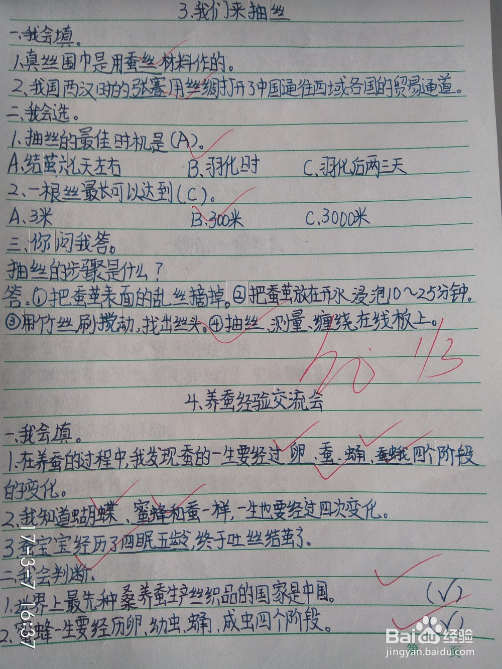 教师如何在公平优质教育中扮演好自己的角色
