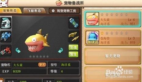 《天宠岛》宠物系统全剖析 萌萌战斗宠