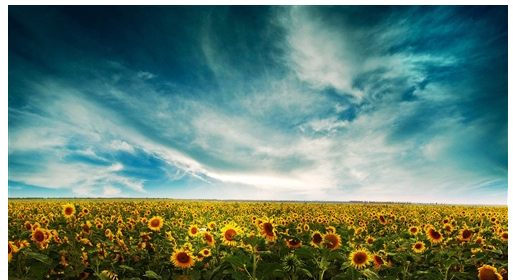 为人妻子,为人父母,为人子女的说说