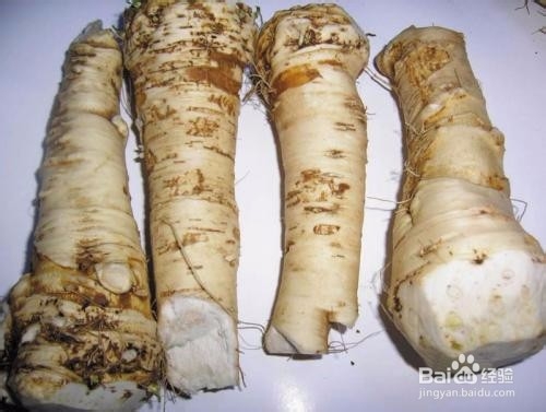 辣根常见搭配哪些食物呢？