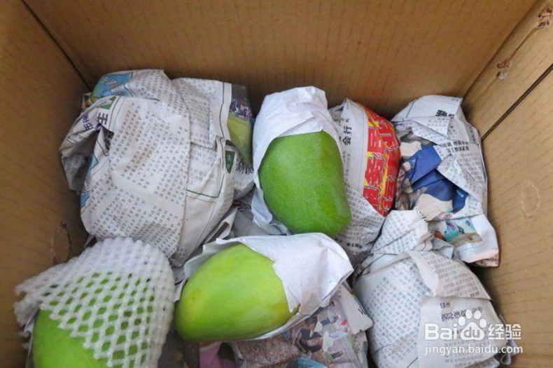 新鲜芒果怎么保存时间长