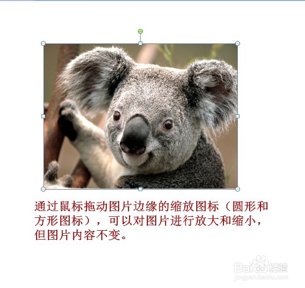 PPT怎么裁剪图片