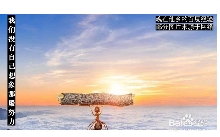 成年之后必须明白的几件事情