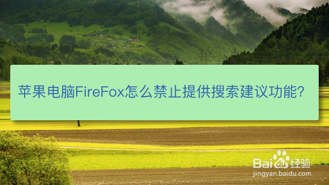 <b>苹果电脑FireFox怎么禁止提供搜索建议功能</b>