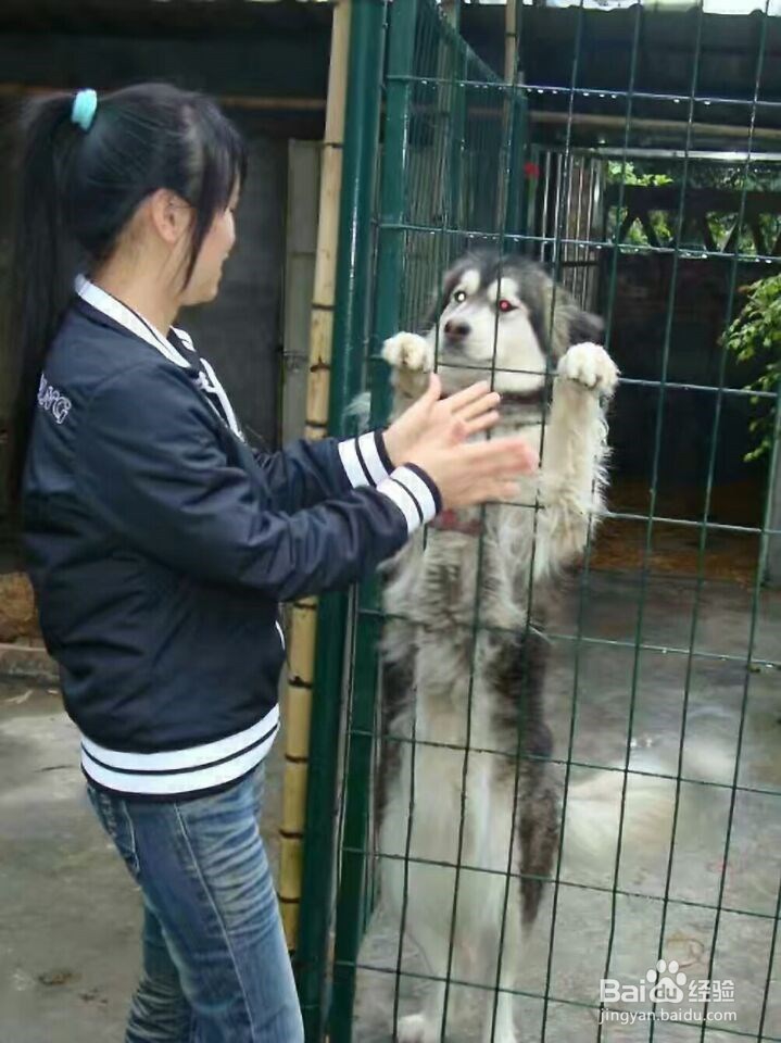没有情人的情人节怎样过