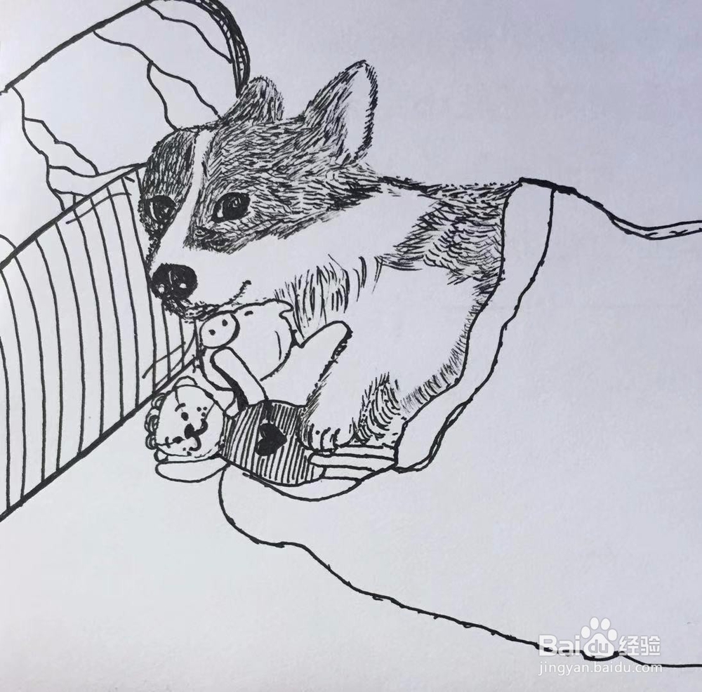 茉莉手绘之萌宠柯基