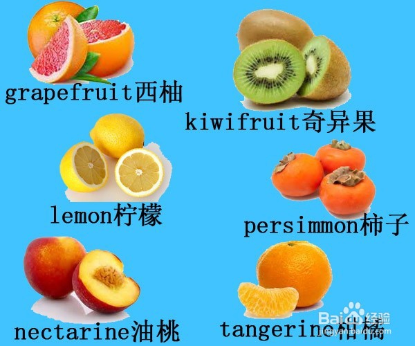 English Words:归类记忆各种水果(共28种水果)
