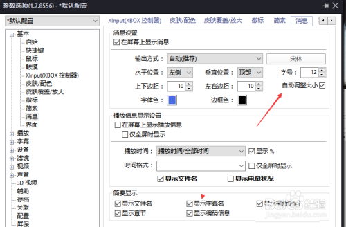 PotPlayer怎么关闭自动调整大小?