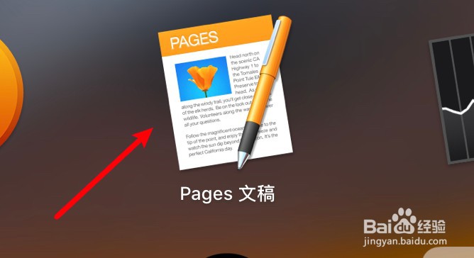 mac Pages怎么设置标尺单位为点？