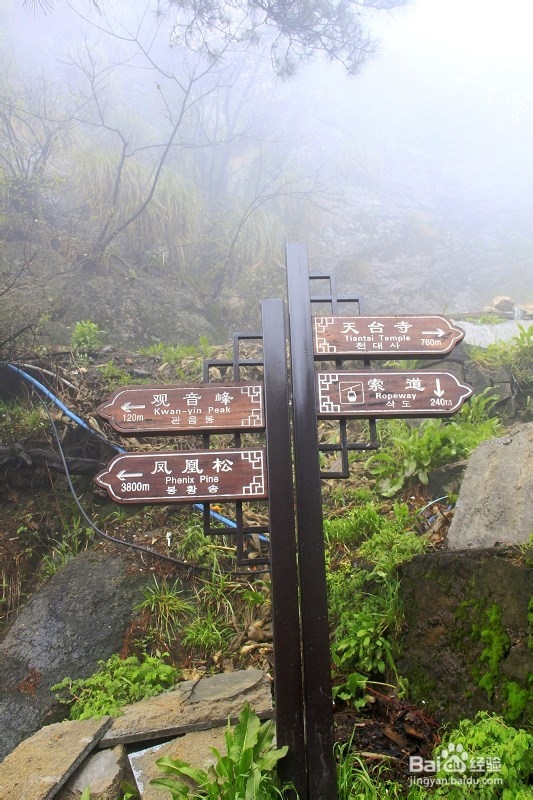 轻轻松松玩转九华山