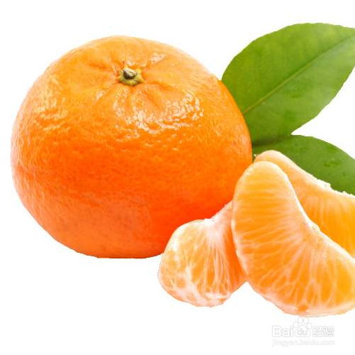 种植柑橘需要注意哪些?