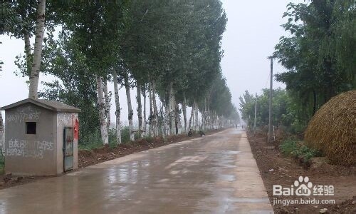 村干部应该怎样治理、发展农村