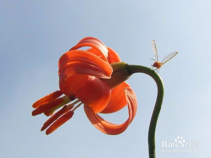 怎么坚持做好一件事