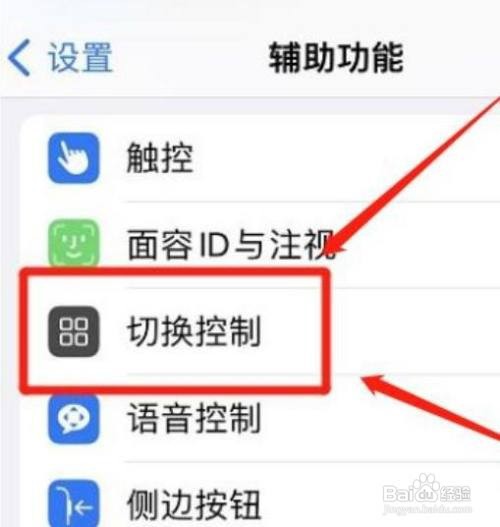 苹果11Pro手机如何设置关掉显示确认功能?