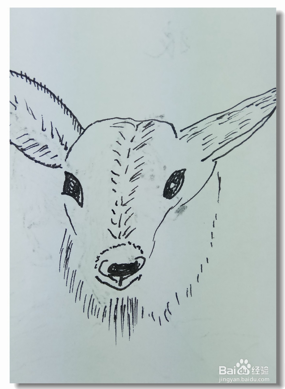 怎样画简笔画“小鹿头”